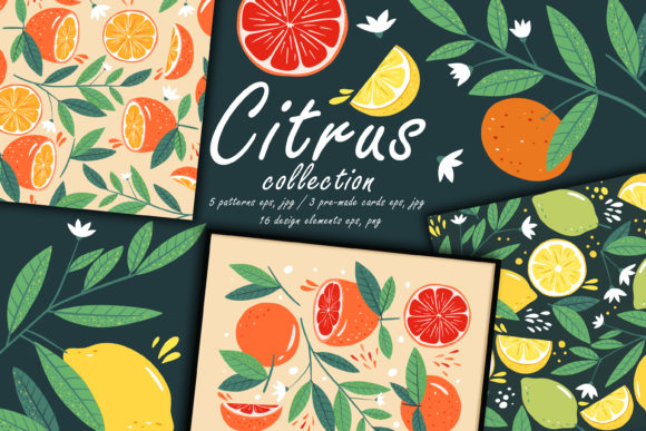 Download Citrus Collection. Botany Modern Pattern - Modern pattern Collection